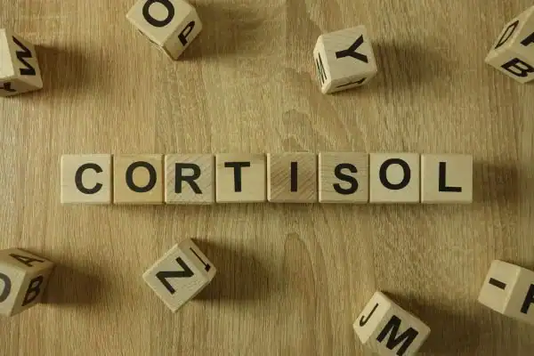 The Hidden Connection: How Stress Shapes Your Fitness and Body Composition 2 Image saying "Cortisol" and how stress Wokingham impacts your wellbeing and bodies shape